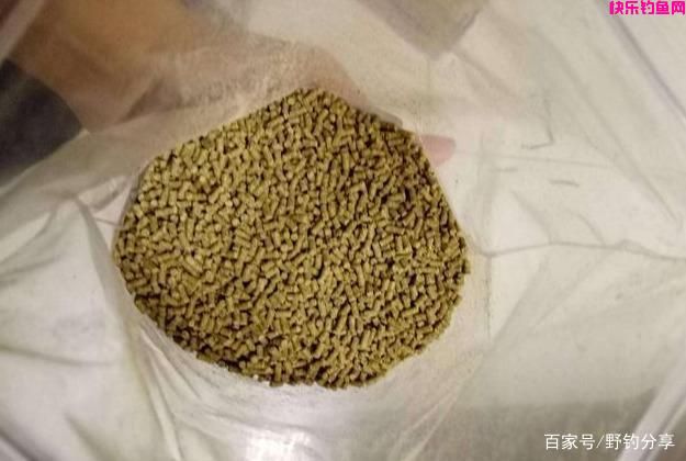 钓鱼：如何选择一款饵料？先从这3个基础认