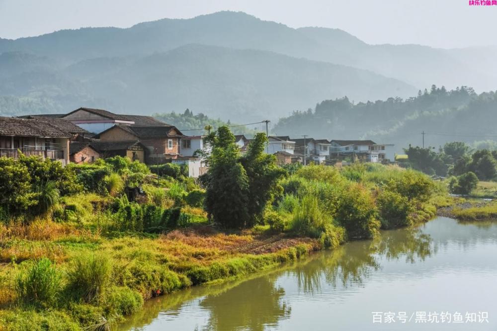 在肥水钓场应该如何使用钓鱼小药？肥水黑坑