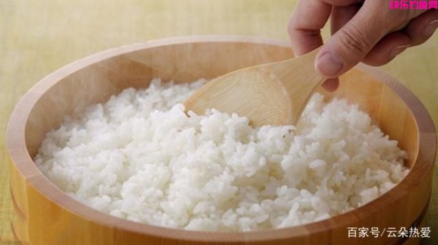 夏季野钓鲫鱼,常用这4种饵料,野生鲫鱼连