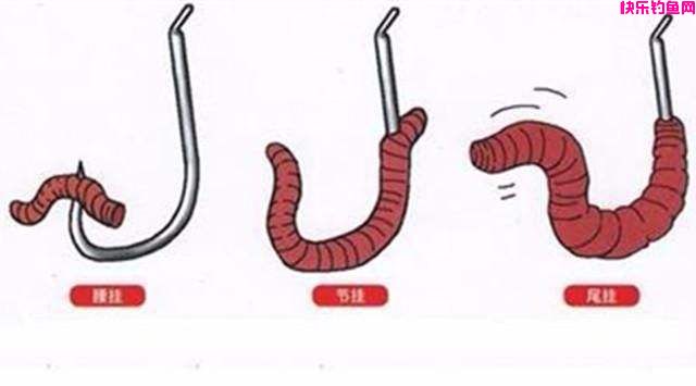 深秋钓鲫鱼最好用的饵料排名，第一名毫无悬
