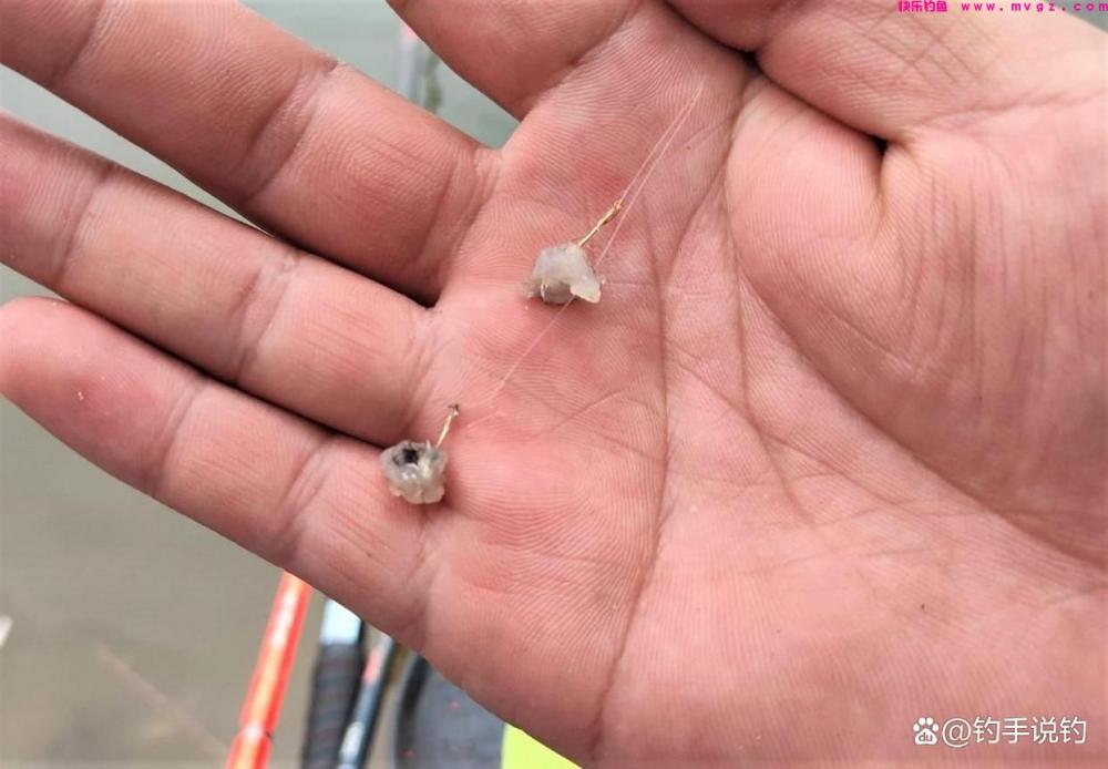 为什么冬季比夏季更好钓鲫鱼？钓鱼用这几种