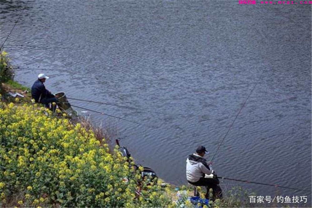 春季钓鲫鱼，记住4个黄金阶段