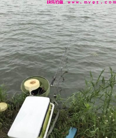 桃花流水鲫鱼肥，春季钓鲫鱼，学会这3个钓