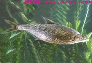 资深钓鱼人的9个钓鱼经验