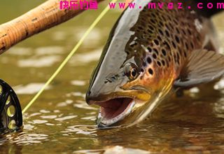 教你13种简单易用的绑鱼钩方法