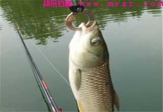 手竿、海竿、矶钓竿图解线组搭配