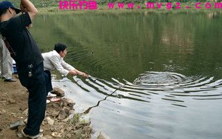 想要垂钓收获好,应知鱼识水