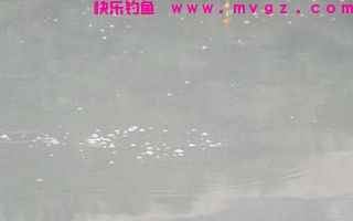 窝子鱼星不断但无鱼咬钩的三种情况