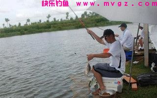 胡说八道浅论钓技巧