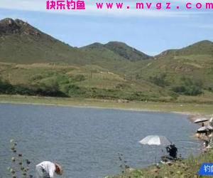 春江水暖鱼先知，春钓大鲫正当时，几个春钓