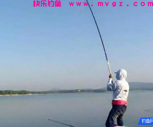 三月里，这么钓翘嘴才够爽，不仅上鱼快，还