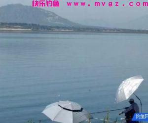 春季钓鱼怎样选择钓位？这三个问题要分清先后！