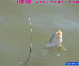 钓鱼技巧:什么是钓接口?打接口的技巧!