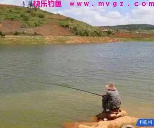 一年四季,水库旁钓点的选位,精确掌握不怕