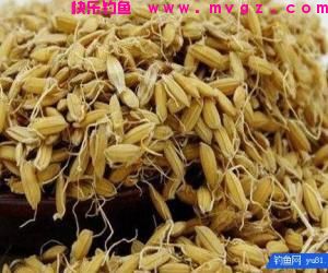 民间钓鱼老王研究出来的钓草鱼鲤鱼配方，学