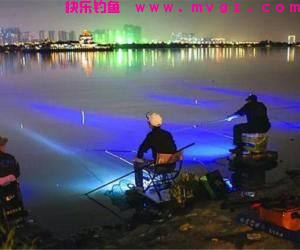 夏季夜钓必须要掌握这些钓鱼技巧 !