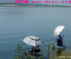 夏季钓鱼渔获不佳？注意这4大套路，渔获猛