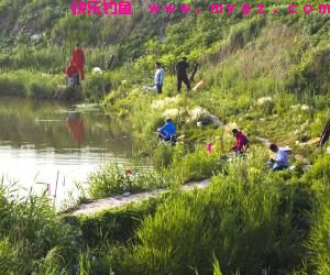 在小河流中怎样选择钓点？