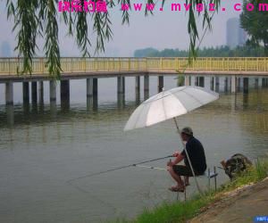 秋天垂钓应当怎样选择钓点和时间？