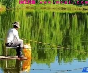 到塘边钓鱼发现鱼口轻，不知如何作钓怎么办