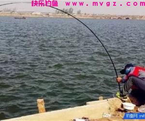 休闲钓小钩细线如何搏大物?