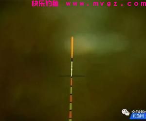野钓水底复杂调漂如何精准找底