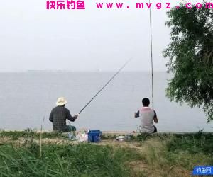 钓秋鱼的三种钓法，受益终身