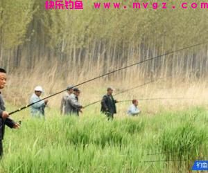 钓鱼遇到9个问题!帮你一一解决