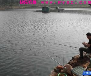 冬季钓鱼的钓点选择和天气