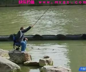 这样诱鱼，3分钟就有口，大鲫鱼排队上钩!