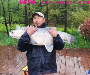 跑铅钓、钓平水、几目钓，你会用吗？