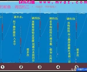 钓鱼调漂到底调几钓几？