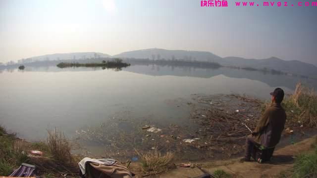 野钓技能之：闻水识鱼，可选准钓点判断钓法