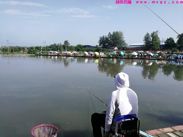 野钓转黑坑，两次都空军了，感叹两者钓法差