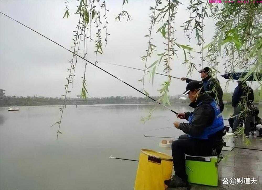 春季钓鱼 别样的乐趣等你来体验