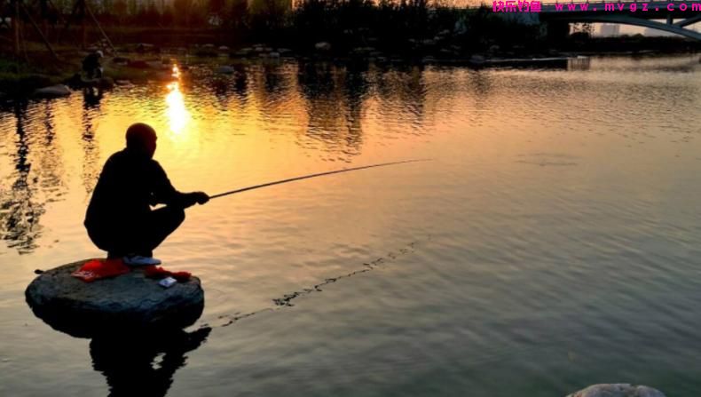 新手钓鱼想要好鱼获,得先了解这四个入门的