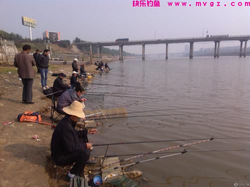 什么时候吃透了钓鱼的这5个经验技巧，新手