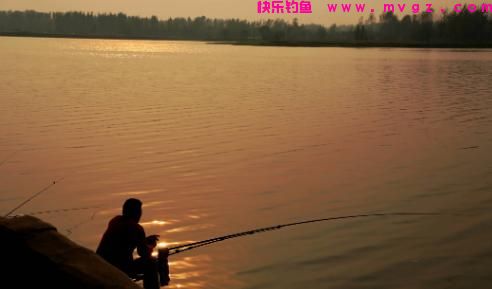 钓鱼该怎么节省成本？送你6个经验，至少能