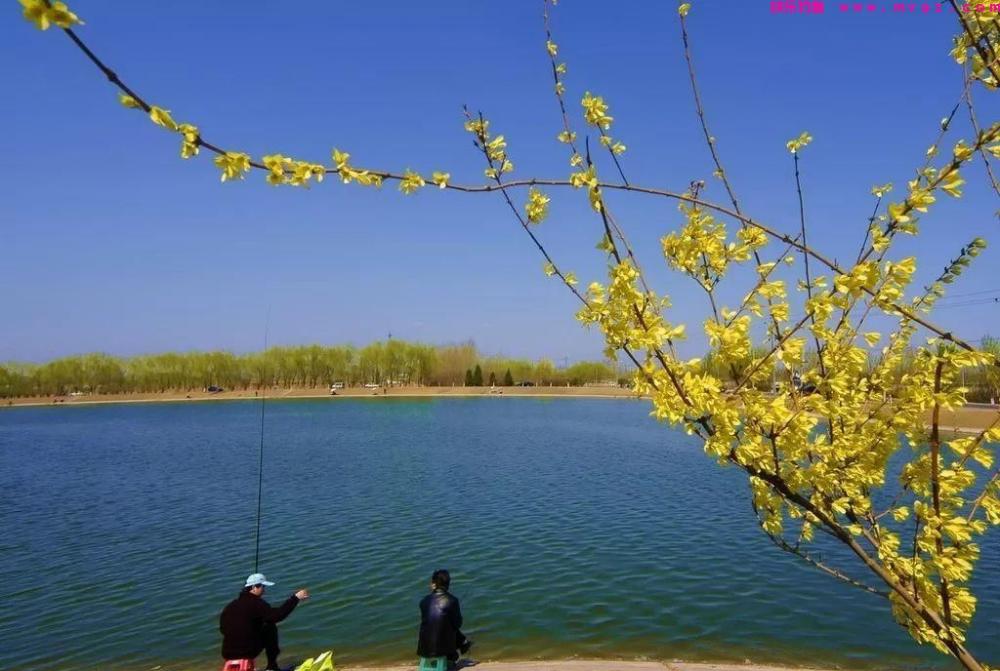 春天钓不到鱼,怪我没有早给你说这些原因和