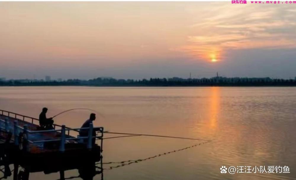 全国各地区常见钓法介绍，有没有钓友所擅长