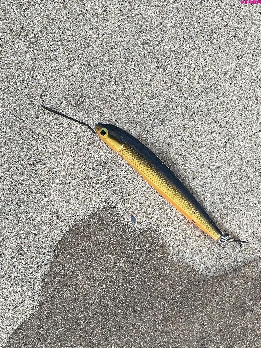 “成为钓鱼高手：选择最有效的钓饵让你成功