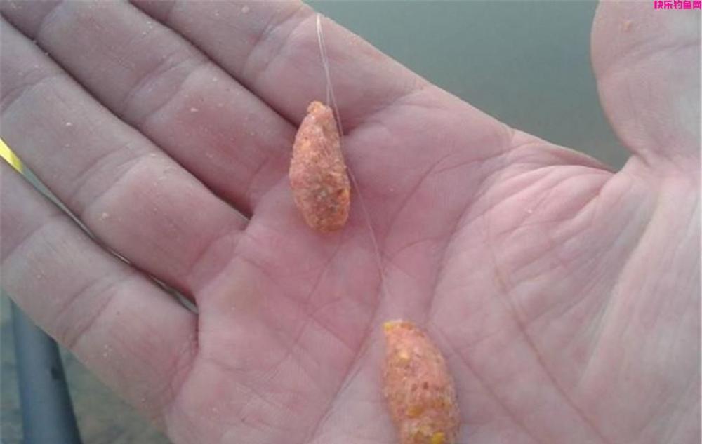 钓鱼选对饵料是关键,教你3招选对饵料,不