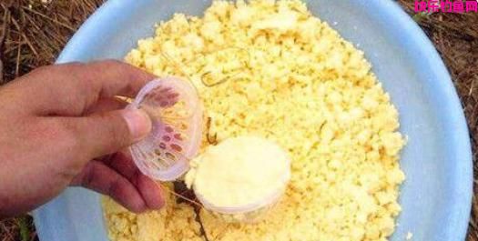 能爆护的钓鱼饵料配方大集合！快来学习吧~