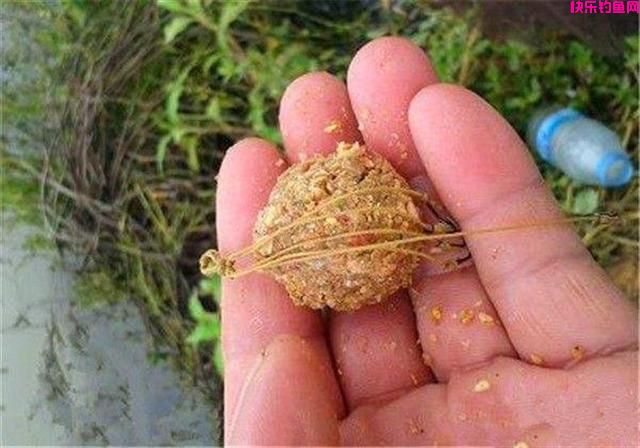 钓鱼这些年，根据自己的经验总结，分享几种