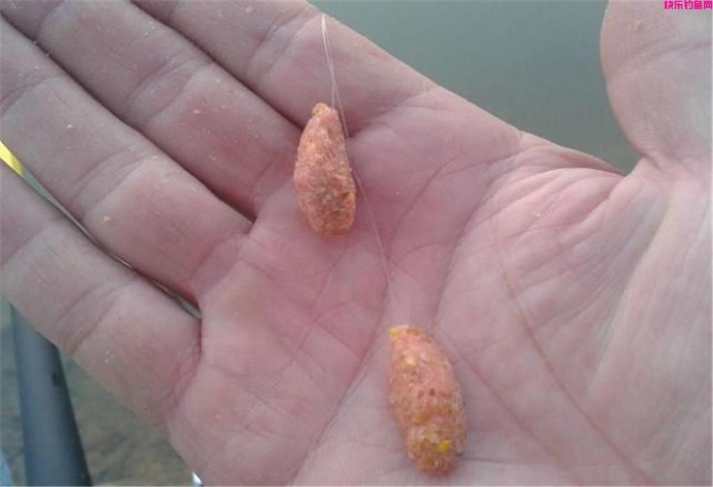 钓鱼时饵料是关键，教你3招轻松选对饵料，