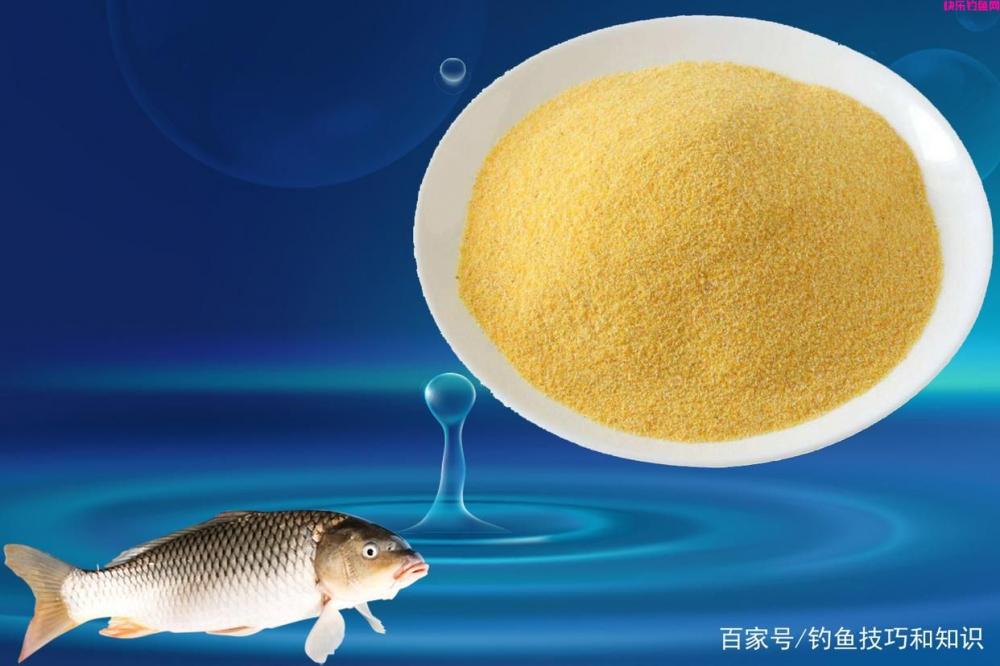 钓鱼饵料、窝料和钓饵有什么区别？饵料、窝
