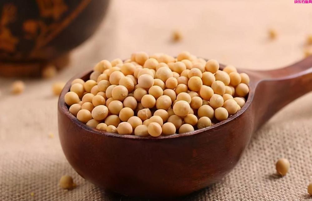 钓鱼不知用什么饵料好？分享我曾用过比较好