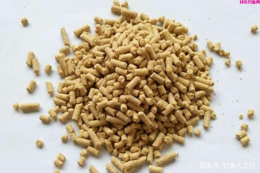 大板鲫最爱吃的饵料，制作简单又省钱，每次
