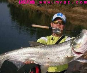 买鱼竿时应考虑6个要素，别再花冤枉钱！