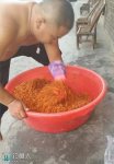玉米谷子小麦混合窝料（主诱鲫鱼鲤鱼草鱼）
